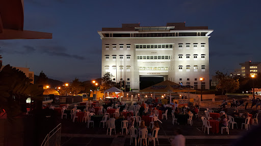 Paseo de las Artes Abelardo Díaz Alfaro