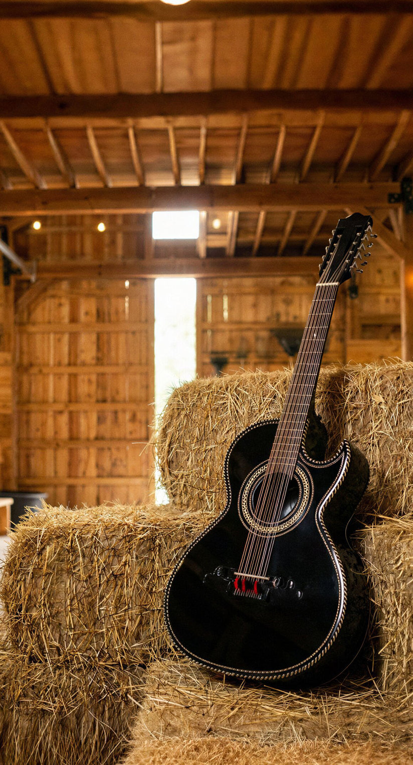 Instrumentos Musicales D’Luca – Calidad, Variedad y Sonido Premium