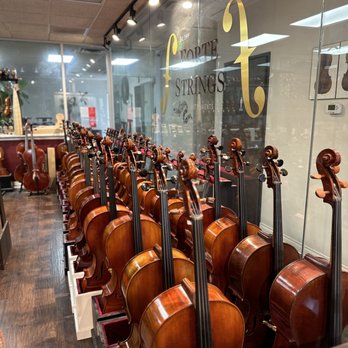 Forte Strings Violin Shop – Violines y cuerdas de alta calidad | Especialista en instrumentos de cuerda