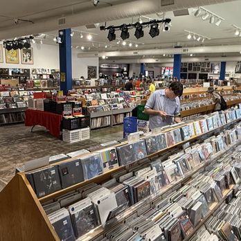 Waterloo Records: Video Oficial de Música y Conciertos - Descubre lo Último