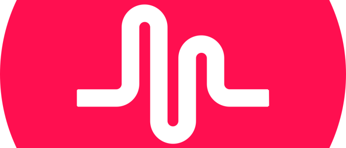 MusicAli: plataforma de streaming musical con playlists personalizadas y descubrimiento de artistas