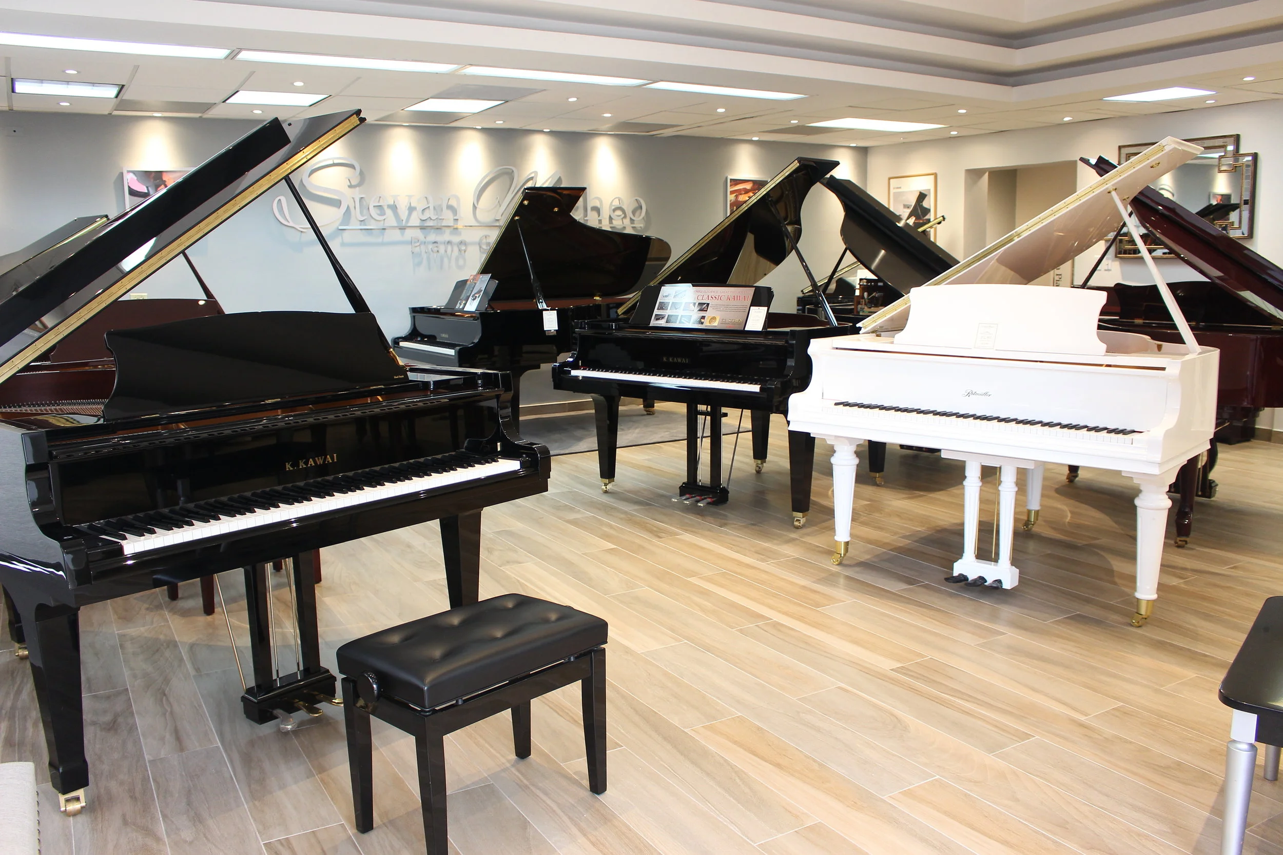 Stevan Micheo Piano Gallery – Foto de Piano de Alta Calidad y Elegancia