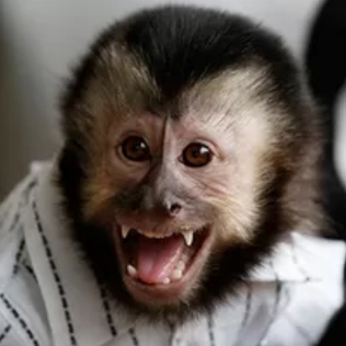 Twelves: Diseño de logo moderno y vibrante | Imagen de alta calidad