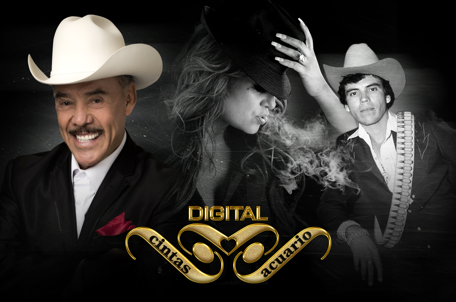 Cintas Acuario Inc.: Cintas decorativas para acuarios – calidad y estilo | decoración