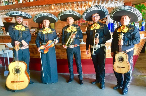 Mariachi Águila Real: Música Tradicional Mexicana en Vivo – Banda de Son Jarocho y Ranchera