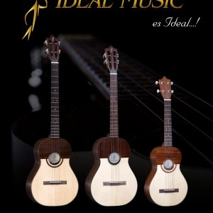 Caja de música Ideal: diseño elegante, sonido melódico y decoración perfecta