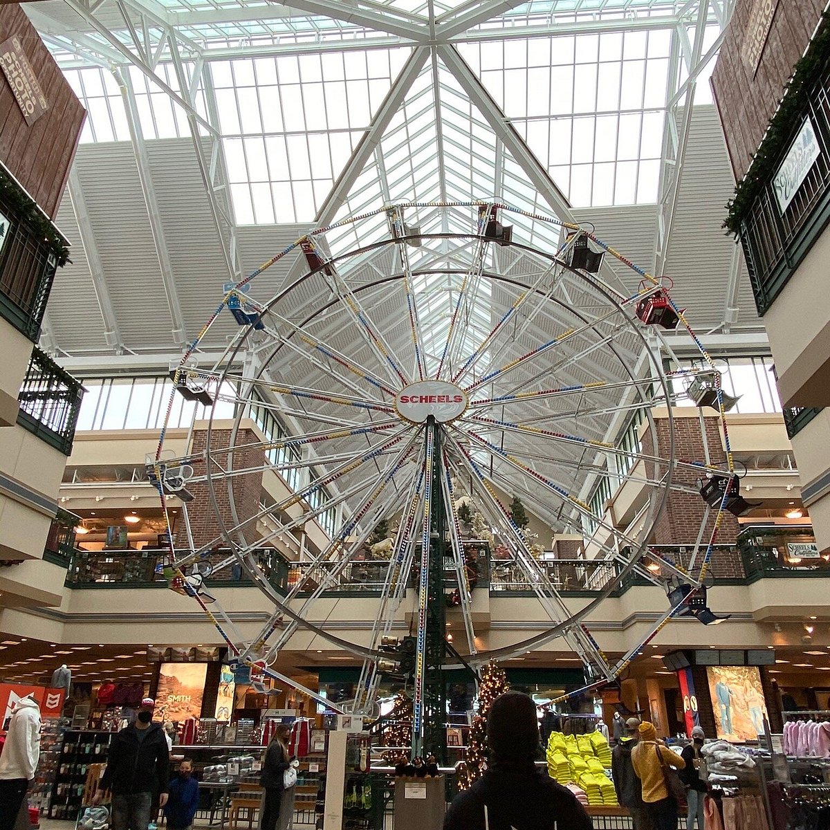 Scheels: Tienda deportiva líder con equipos, ropa y accesorios para todos los deportes