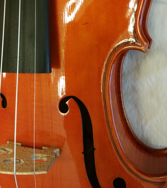 Tienda Dodd Violin Shop – Violines artesanales y accesorios de alta calidad