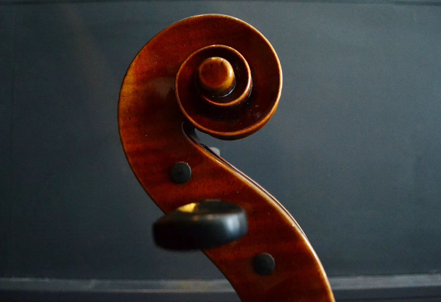 Finlay y Gage: Instrumentos Musicales de Alta Calidad – Diseño Innovador y Sonido Profesional