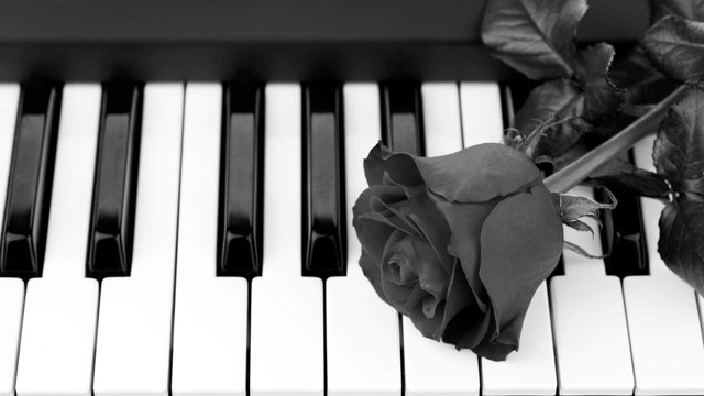 Memorial Music: Homenaje Musical Instrumental con Piano y Cuerdas – Tributo Emotivo